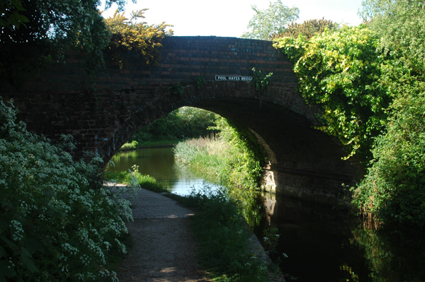 pool view great wyrley