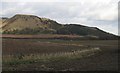 Arable land, Fruix