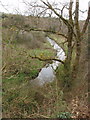 T0328 : Wooded bank of River Sow near Castelsow by David Hawgood