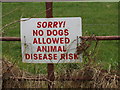 T0429 : "Sorry! No dogs" sign near Monroe, Castlebridge by David Hawgood