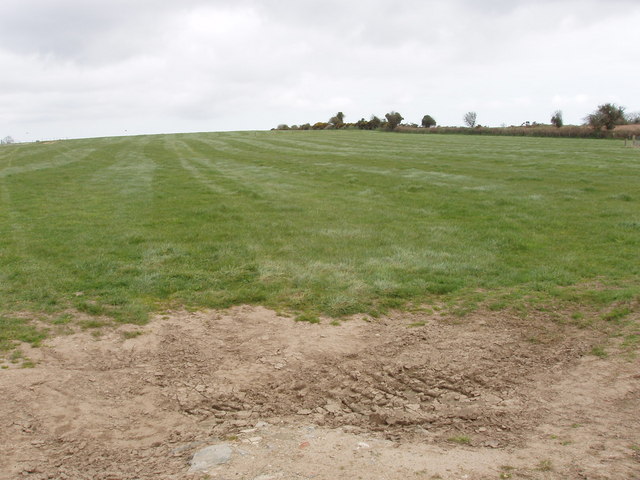 Pasture near Monroe, Castlebridge