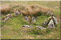 SX6272 : Cairn and cist, Royal Hill by Guy Wareham