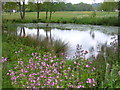 Village Pond, Forest Green