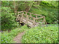 Footbridge near Mayes Green