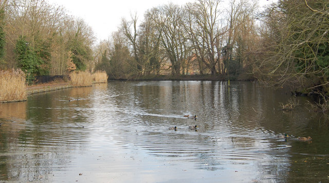 Lake in Enfield