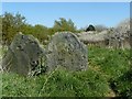 Abandoned Graveyard