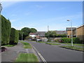 A lovely spring afternoon in Bacon Lane