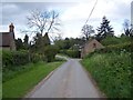 Lane Near Hayton