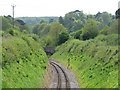 Single track line south of Galmpton