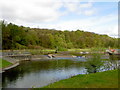 Canoeing Lake