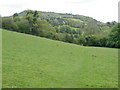 Path, through fields, near Aish