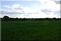 Large cereal field near Little Daux Farm