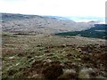 NR8375 : Moorland and forest north of Meall MÃ²r by Patrick Mackie