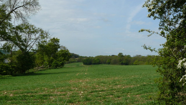 View From Ashtead Hill