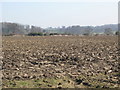 NY9865 : Farmland near Hampstead (2) by Mike Quinn