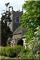 Thrandeston church between the trees