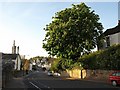 Tor Hill Road, Torquay