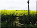 Footpath on Hurstwood Road