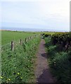 Footpath: Hart to Crimdon beach