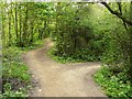 East Leake path in Leake new wood by the golf course