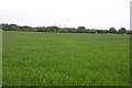 Arable field near Shippon