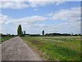 Track to Cottage Farm