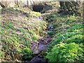 Little Stream near Ashdale & Fern Villa, Llanteg