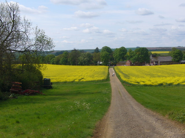 Farm track near Somersby