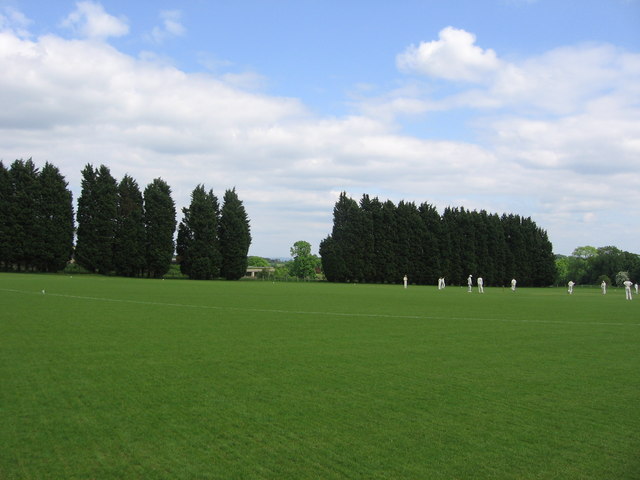 Cricket pitch, Sulis Club
