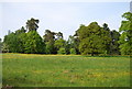 TQ5938 : Buttercup Meadow, Camden Park by N Chadwick