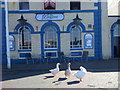 Geese at The Waterfront