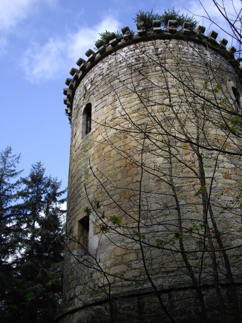 Tower, Penicuik Estate © Callum Black cc-by-sa/2.0 :: Geograph Britain ...