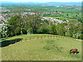 A view over Churchdown