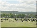 Dewsbury Cemetery - from Burgh Mill Lane