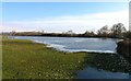 Flooded field adjacent to Hoby Lane