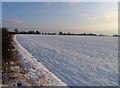 Snow covered field