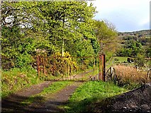 N2899 : Gateway and farm road near Corraneary by Oliver Dixon