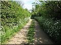 Footpath on Shire Road