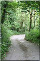 Bridleway leading to Tresidder Mills