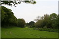 Field in Penberth Valley at Bottoms