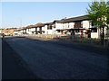 Modern houses on Ardencraig Road