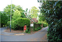 TQ6140 : Postbox at the junction of Pembury Rd & Grovehurst Private Rd by N Chadwick