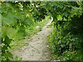 Path at Toton