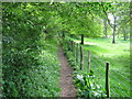 Bridleway near Divan Wood