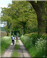 Bridleway to Rudge, Shropshire