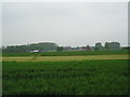 TM2353 : Debach airfield by Chris Holifield