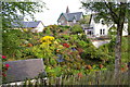 Spring flowering in an Oban garden