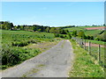 Track to Burnt Barn