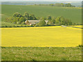 2009 : A field of oilseed rape