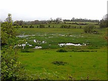 H3510 : Flooded field at the head of Garliny Lough by Oliver Dixon